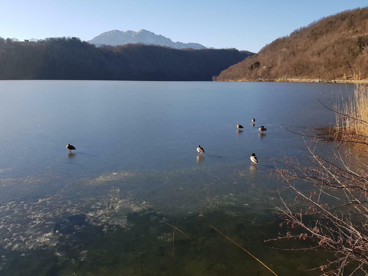 Appartamento Nido Levico Terme Extérieur photo